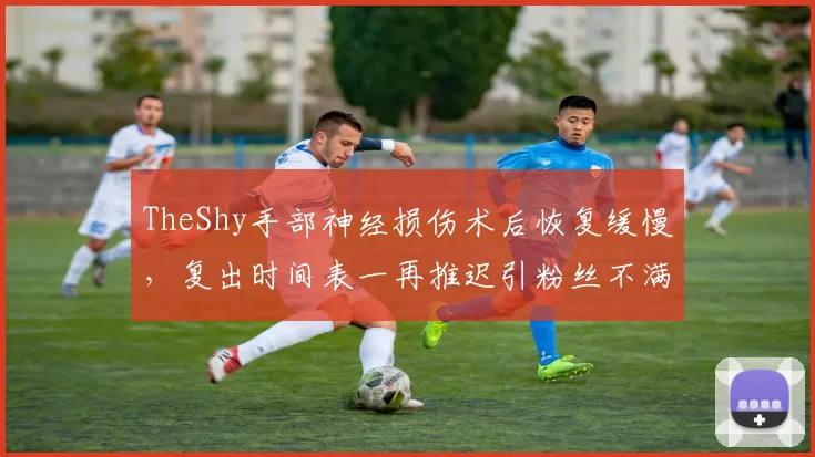 TheShy手部神经损伤术后恢复缓慢，复出时间表一再推迟引粉丝不满